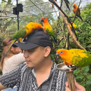 Aiu Jymph Yap with colorful birds in an aviary